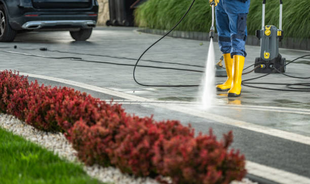 Best Driveway Pressure Washing  in Cheverly, MD